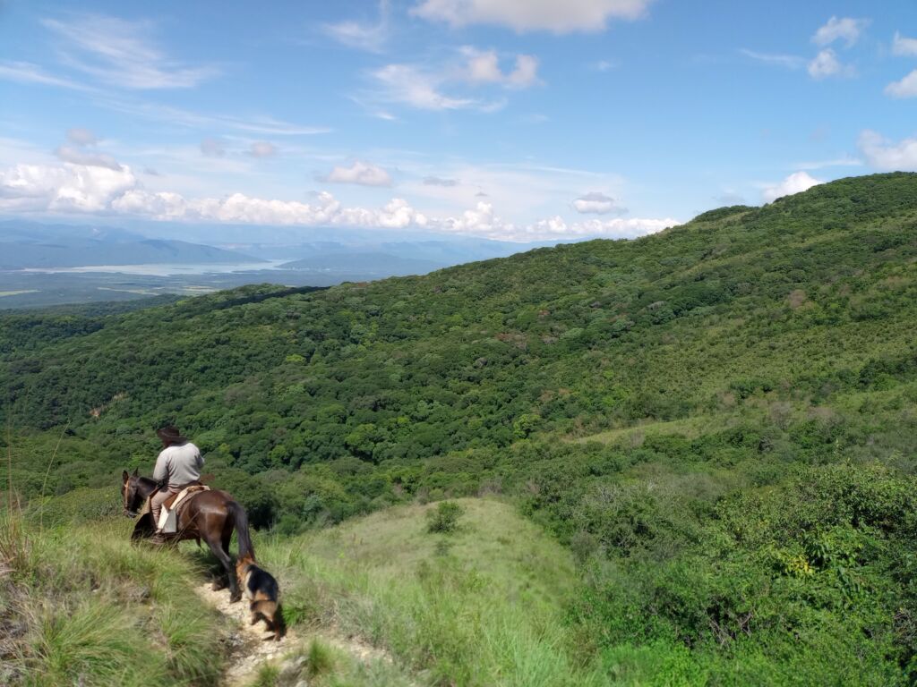 Cabalgata Día Entero con picnic en montaña