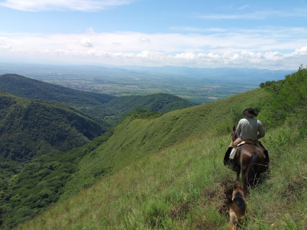 Cabalgata Día Entero con picnic en montaña