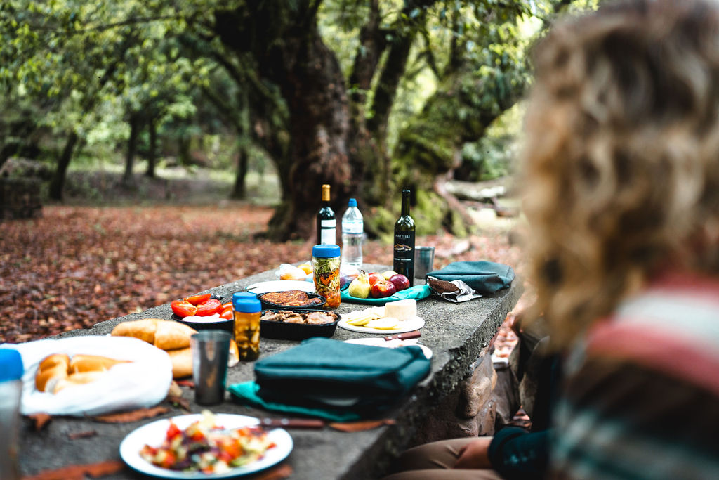 Pic nic in Nature