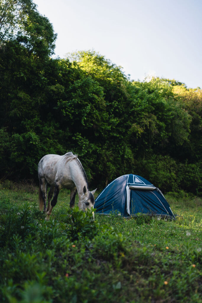 Camping with horses